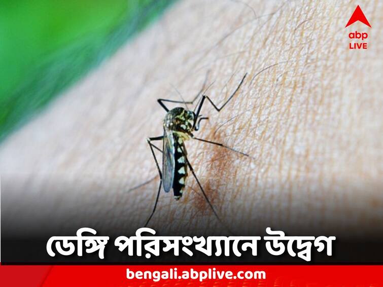 WB Dengue Dengue Cases Increasing rapidly in north bengal Dengue: উত্তরের ৮ জেলায় ডেঙ্গি আক্রান্ত ৩ হাজার পার, শীর্ষে মালদা