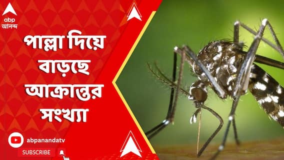 কলকাতা-সহ রাজ্যজুড়ে উদ্বেগ বাড়াচ্ছে ডেঙ্গি, পাল্লা দিয়ে বাড়ছে আক্রান্তর সংখ্যা