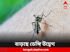 দক্ষিণ দমদমে ফের ডেঙ্গি আক্রান্তর মৃত্যু
