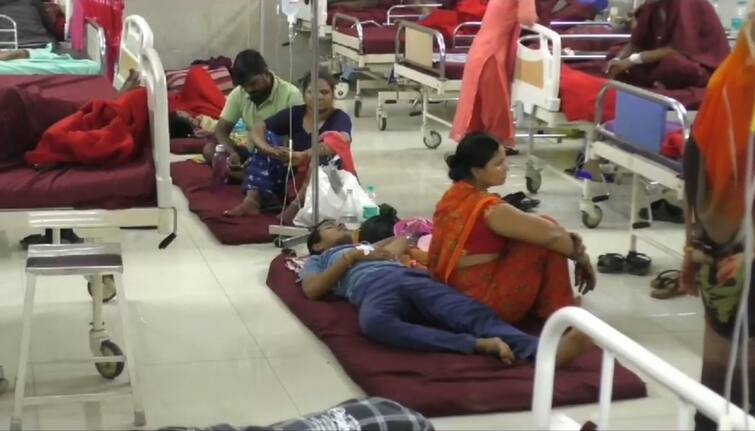  Dengue cases in Dadra and Nagarhaveli દાદરા-નગરહવેલીમાં ડેન્ગ્યૂના કેસનો રાફડો ફાટ્યો, હોસ્પિટલમાં ખૂટી પડ્યાં બેડ