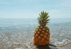 Benefits Of Eating Pineapple : अननस अनेक रोगांपासून देईल आराम, पाहा अननसाचे फायदे