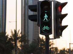 गाड़ी में पेट्रोल खत्म होने पर इस देश में लगता है जुर्माना, भारत में तो उसके लिए पुलिस भी कर देती है मदद