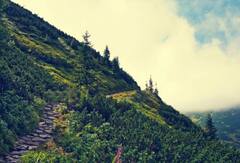 दिल्ली से थोड़ी दूर ही हैं ये खूबसूरत हिल स्टेशन, वीकेंड पर बनाइए प्लान, मजा आ जाएगा