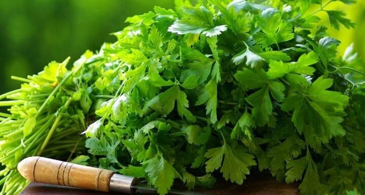 हिरव्या कोथिंबीरमध्ये दाहक-विरोधी गुणधर्म आढळतात, म्हणजेच, याचे सेवन केल्याने शरीरातील सूज येण्याची समस्या कमी होते.