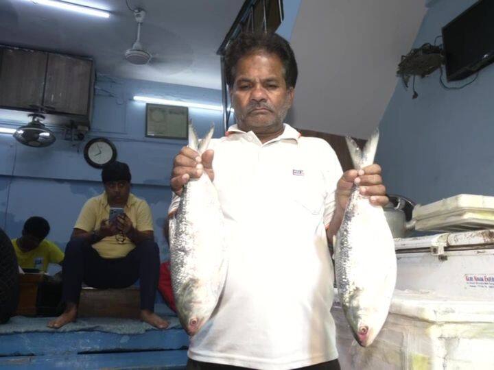 India Hilsa Fish Imports Decline Bangladesh Implement Fish Catching Ban Hilsa Import: भारत में नहीं मिलेगी ये खास मछली, बांग्लादेशी सरकार का एक फैसला बना वजह
