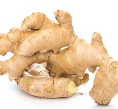 Health News: ਭਾਰ ਘੱਟ ਕਰਨ ਤੋਂ ਲੈ ਕੇ ਡਾਈਜੇਸ਼ਨ ਠੀਕ ਰੱਖਣ ਤੱਕ, ਜਾਣੋ ਅਦਰਕ ਦੇ ਗੁਣਕਾਰੀ ਫਾਇਦਿਆਂ ਬਾਰੇ