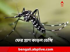 ডেঙ্গি আক্রান্ত হয়ে মৃত্যু কিশোরীর, এবার যাদবপুরে