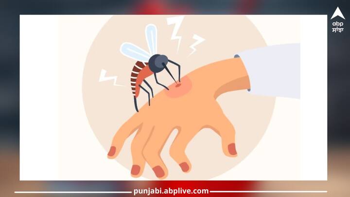 Dengue: ਡੇਂਗੂ ਇੱਕ ਖ਼ਤਰਨਾਕ ਬਿਮਾਰੀ ਹੈ, ਜੋ ਗੰਭੀਰ ਹੋ ਸਕਦੀ ਹੈ। ਜਦੋਂ ਏਡੀਜ਼ ਮੱਛਰ ਡੇਂਗੂ ਦੇ ਮਰੀਜ਼ ਨੂੰ ਕੱਟਦਾ ਹੈ ਤਾਂ ਡੇਂਗੂ ਦਾ ਵਾਇਰਸ ਮੱਛਰ ਦੇ ਸਰੀਰ ਵਿੱਚ ਦਾਖਲ ਹੋ ਜਾਂਦਾ ਹੈ।