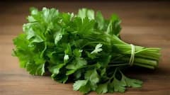 Health Tips : कोथिंबिरीचे पाणी अनेक रोगांवर रामबाण उपाय