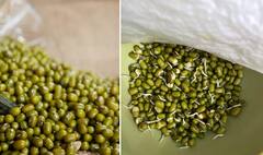 Benefits Of Moong Dal : मूग डाळ पोट आणि हृदयासाठी खूप आहे फायदेशीर, पाहा मूग डाळीचे अफाट फायदे