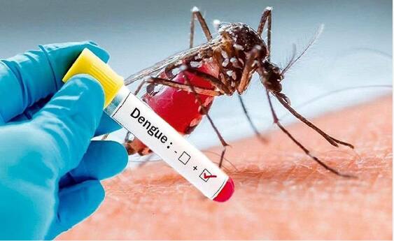 Dengue : ਡੇਂਗੂ ਇੱਕ ਖ਼ਤਰਨਾਕ ਬਿਮਾਰੀ ਹੈ, ਜੋ ਗੰਭੀਰ ਹੋ ਸਕਦੀ ਹੈ। ਜਦੋਂ ਏਡੀਜ਼ ਮੱਛਰ ਡੇਂਗੂ ਦੇ ਮਰੀਜ਼ ਨੂੰ ਕੱਟਦਾ ਹੈ ਤਾਂ ਡੇਂਗੂ ਦਾ ਵਾਇਰਸ ਮੱਛਰ ਦੇ ਸਰੀਰ ਵਿੱਚ ਦਾਖਲ ਹੋ ਜਾਂਦਾ ਹੈ। ਜੇ ਉਹੀ ਮੱਛਰ ਕਿਸੇ ਹੋਰ ਵਿਅਕਤੀ ਨੂੰ ਕੱਟਦਾ ਹੈ ਤਾਂ ਦੂਜਾ ਵਿਅਕਤੀ ਵੀ ਡੇਂਗੂ ਦਾ ਸ਼ਿਕਾਰ ਹੋ ਸਕਦਾ ਹੈ। ਇਸ ਸਮੇਂ ਦੇਸ਼ ਭਰ 'ਚ ਡੇਂਗੂ ਦਾ ਕਹਿਰ ਵਧਦਾ ਜਾ ਰਿਹਾ ਹੈ। ਹਸਪਤਾਲ ਦੇ ਬਾਹਰ ਡੇਂਗੂ ਦੇ ਮਰੀਜ਼ਾਂ ਦੀ ਕਤਾਰ ਲੱਗੀ ਹੋਈ ਹੈ। ਡਾਕਟਰ ਵੀ ਡੇਂਗੂ ਦੇ ਮੱਛਰਾਂ ਤੋਂ ਸਾਵਧਾਨ ਰਹਿਣ ਦੀ ਸਲਾਹ ਦੇ ਰਹੇ ਹਨ। ਦਰਅਸਲ, ਡੇਂਗੂ ਬੁਖਾਰ ਨੂੰ ਆਮ ਤੌਰ 'ਤੇ ਹੱਡੀਆਂ ਨੂੰ ਤੋੜਨ ਵਾਲਾ ਬੁਖਾਰ ਵੀ ਕਿਹਾ ਜਾਂਦਾ ਹੈ। ਜਦੋਂ ਬੁਖਾਰ ਹੁੰਦਾ ਹੈ, ਤਾਂ ਮਰੀਜ਼ ਨੂੰ ਆਪਣੀਆਂ ਹੱਡੀਆਂ ਵਿੱਚ ਬਹੁਤ ਦਰਦ ਹੁੰਦਾ ਹੈ। ਜੇ ਸਹੀ ਸਮੇਂ 'ਤੇ ਇਲਾਜ ਨਾ ਕਰਵਾਇਆ ਜਾਵੇ ਤਾਂ ਡੇਂਗੂ ਖਤਰਨਾਕ ਹੋ ਸਕਦਾ ਹੈ।
