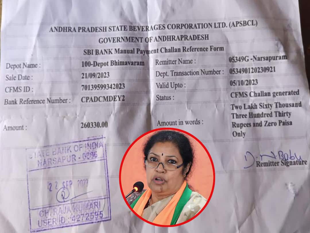 YSRCP Counter To AP BJP Chief Purandeswari YCP Counter To  Purandeswari: ఈ తెలివితోనే మీరు కేంద్రమంత్రిగా పనిచేశారా? - పురందేశ్వరిపై వైసీపీ సెటైర్లు