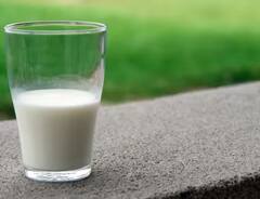 Milk: ਤੁਹਾਡੇ ਘਰ ਆ ਰਿਹਾ ਦੁੱਧ ਅਸਲੀ ਜਾਂ ਨਕਲੀ? ਇਨ੍ਹਾਂ ਤਰੀਕਿਆਂ ਨਾਲ ਲੱਗ ਸਕਦਾ ਪਤਾ