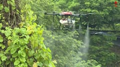 Dengue: ভয় ধরাচ্ছে ডেঙ্গি, যাদবপুরের কাছে গ্লাস ফ্যাক্টরিতে পুরকর্মীরা, ড্রোন উড়িয়ে মশার লার্ভার খোঁজ