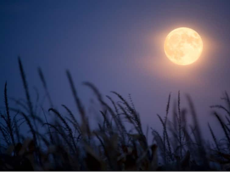 Harvest Moon 2023: Last Supermoon Of The Year To Rise On September 29. What Makes It Unique?