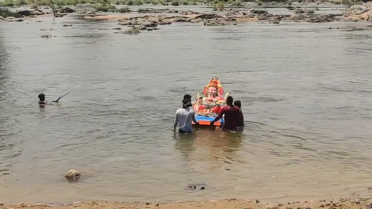 காவிரி ஆற்றில் கரைக்கப்பட்ட விநாயகர் சிலைகள; 5 நாட்கள் ஆகியும் கரையாமல், அப்படியே இருப்பதால் அதிர்ச்சி