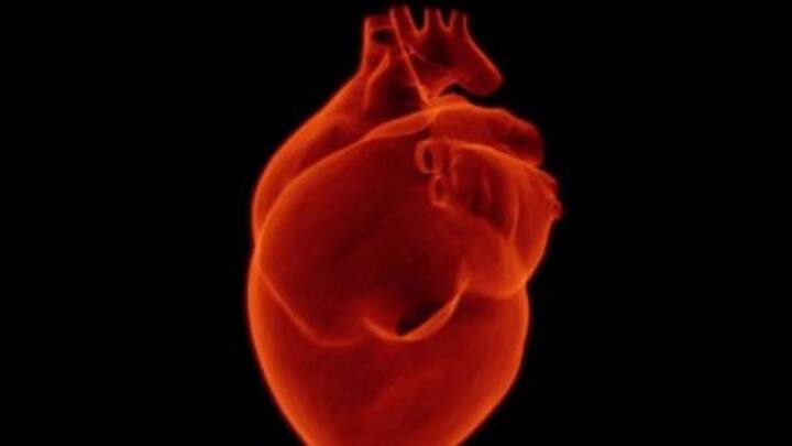 Heart Health:হৃৎপিণ্ডের স্বাস্থ্য ভালো রাখতে এই খাবারগুলি খাচ্ছেন তো?