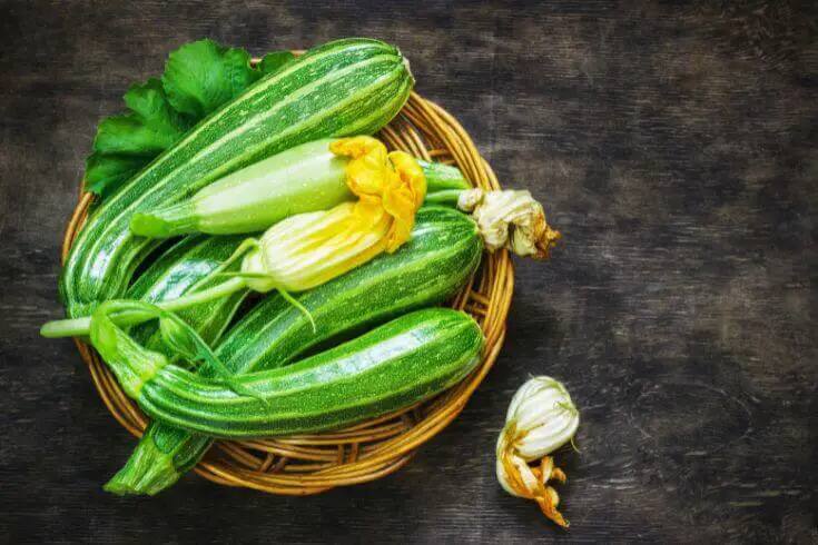 health benefits of zucchini reduces blood sugar bp strengthen help in weight loss Health News: ਅਨੋਖਾ ਇਸ ਸਬਜ਼ੀ ਦਾ ਨਾਮ, ਇਹ ਸ਼ੂਗਰ ਸਮੇਤ 5 ਬੀਮਾਰੀਆਂ ਨੂੰ ਕਰਦੀ ਜੜੋਂ ਖ਼ਤਮ