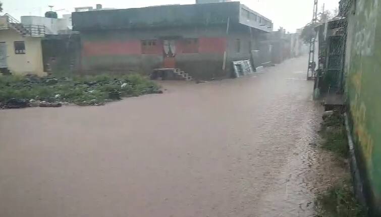 Rain start in Amreli District  Amreli Rain: અમરેલી જિલ્લાના સાવરકુંડલા-ખાંભા-ધારી પંથકમાં વરસાદ
