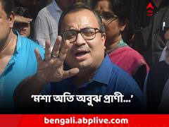 'মশা অবুঝ প্রাণী...', ডেঙ্গি নিয়ে কী বার্তা কুণালের?