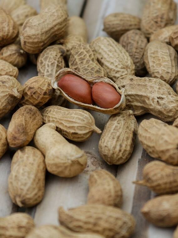 मूंगफली खाने से मिलते हैं ये 6 फायदे