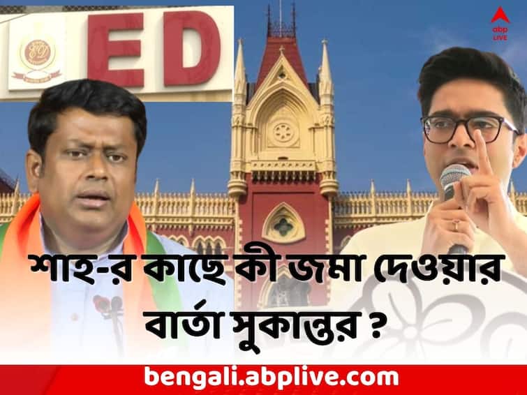 Sukanta on HC on Abhishek: BJP Bengal will submit  all observation of Abhishek Banerjee , says Sukanta Majumdar after HC order Sukanta on Abhishek: অভিষেকের বিরুদ্ধে তদন্তে পর্যবেক্ষণ আদালতের, কী প্রতিক্রিয়া সুকান্তর ?