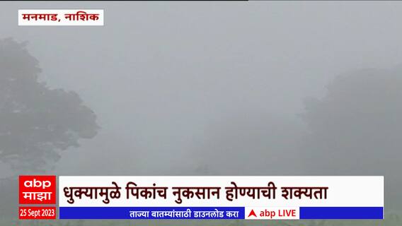 Nashik Fog : नाशिकच्या मनमाड शहरात धुक्याची चादर, पिकांवर रोगांचा प्रार्दुभाव होण्याची शक्यता