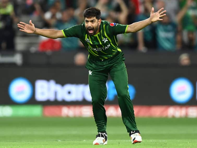 ODI World Cup 2023 ICC Instagram Video Haris Rauf Names Dale Steyn As All-Time Favorite Fast Bowler Haris Rauf's All-Time Favorite Fast Bowler Isn't From Pakistan; ICC Shares Video