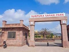 In Pics: लोहे के 15 टन कबाड़ से बना अनोखा पार्क सीएम गहलोत करेंगे लोकार्पण, 33 स्कल्पचर होंगे आकर्षण का केंद्र