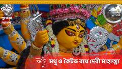 মধু ও কৈটভের মৃত্যু তো শ্রীবিষ্ণুর চক্রে, তাহলে তাতে দেবী মহামায়ার কী ভূমিকা ?