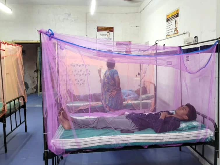 4 people treated for dengue at Sirkazhi Government Hospital Dengue Fever: சீர்காழியில் 4 பேருக்கு டெங்கு காய்ச்சல் - பீதியில் பொதுமக்கள்