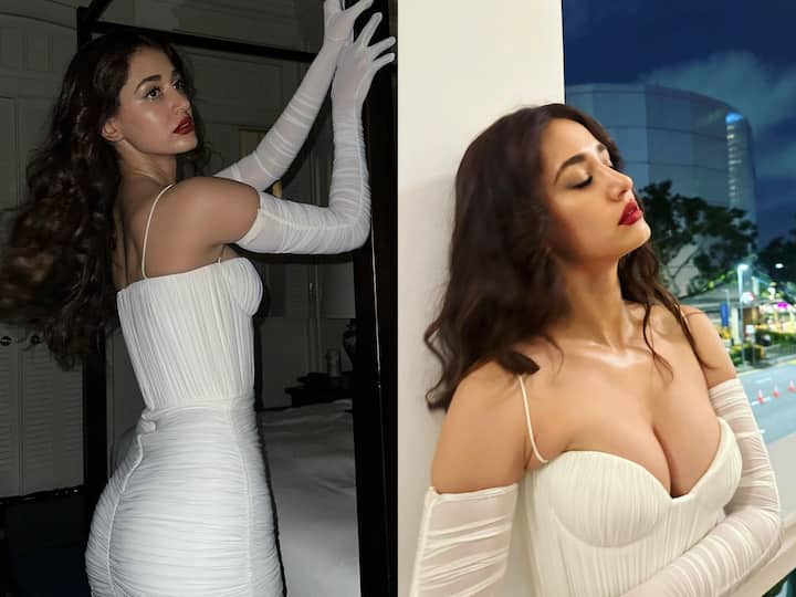 Disha Patani has posted a slew of photographs on Instagram, in which she showed off her curvy figure.
