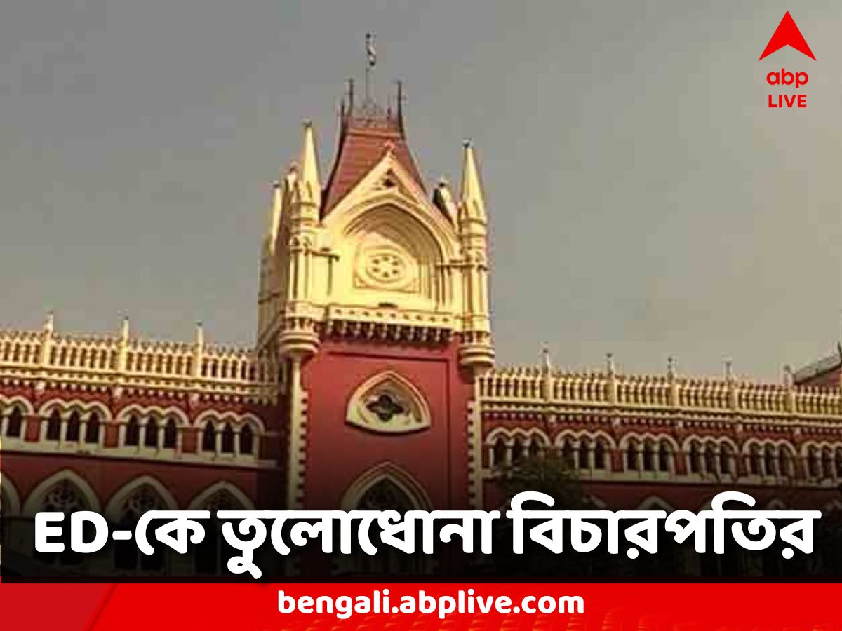 Calcutta High Court:'আপনারা কি পোস্ট অফিস?' অভিষেকের সম্পত্তির খতিয়ান নিয়ে ED-কে তুলোধোনা বিচারপতির