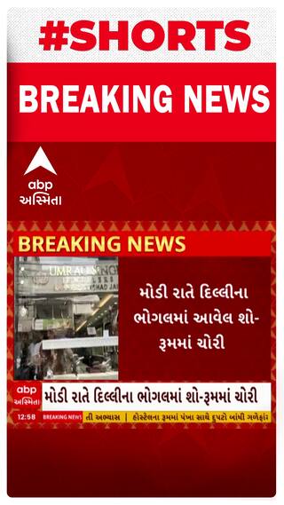 Delhi Robbery| જ્વેલર્સના શો રૂમમાં કરોડોના દાગીનાની થઈ ચોરી, જુઓ ચોરની ભેજાબાજીની કમાલ