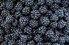 Health Tips: તંદુરસ્ત રહેવું હોય તો રોજ આ 7 કાળી ચીજનું કરો સેવન, બીપી-ડાયાબિટીસ પણ રહેશે કંટ્રોલમાં