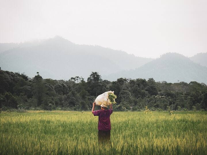 Climate change causes a drop in farmers revenue according to this survey किसानों की इनकम लगातार कम होती जा रही है... वजह भी हैरान कर देने वाली है!