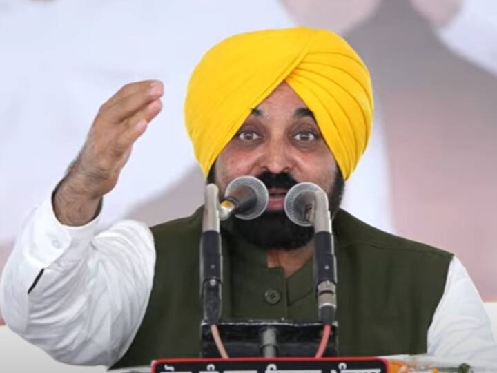 Punjab Politics: प्रताप सिंह बाजवा के सरकार तोड़ने के दावे पर CM मान का पलटवार, बोले- 'अगर हिम्मत है तो करें...' Punjab CM Bhagwant Mann Hit Back At Pratap Singh Bajwa claim of breaking the government Punjab Politics: प्रताप सिंह बाजवा के सरकार तोड़ने के दावे पर CM मान का पलटवार, बोले- 'अगर हिम्मत है तो करें...'
