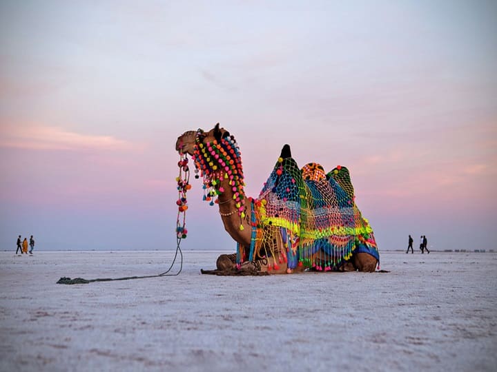 IRCTC Rann Utsav Tour: भारतीय रेलवे रण उत्सव का आनंद उठाने के लिए सैलानियों के लिए एक शानदार टूर पैकेज लेकर आया है. इसमें आप सस्ते में गुजरात के कच्छ में होने वाले सालाना रण उत्सव का आनंद उठा सकते हैं.