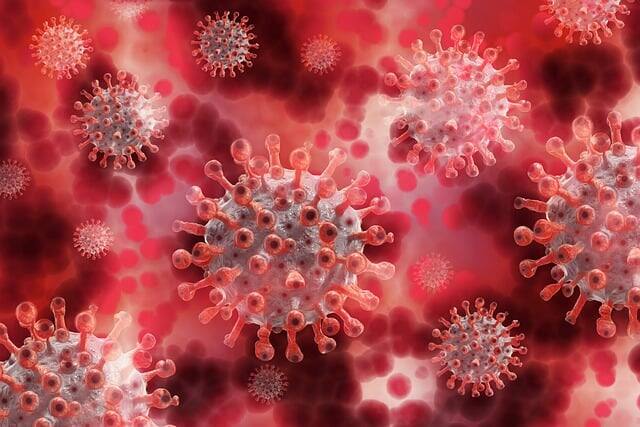 23 cases of JN.1 coronavirus variant detected in India doctors on alert advise precaution JN1 व्हेरियंटचे देशभरात 23 रुग्ण, भाजप आमदारालाही लागण, केंद्राकडून अलर्ट