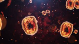 Pandemic : कोरोनापेक्षाही सात पटीने प्राणघातक महामारीचं संकट, 5 कोटी जणांचा मृत्यू होण्याची शक्यता; शास्त्रज्ञांचा दाव्यामुळे चिंता वाढली