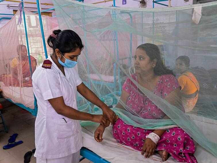 Dengue Cases in West Bengal Kolkata Worst Hit Govt Guidelines Durga Puja Bengal: Over 38,000 Dengue Infections Reported. Cases May Rise During Durga Puja, Warns Govt