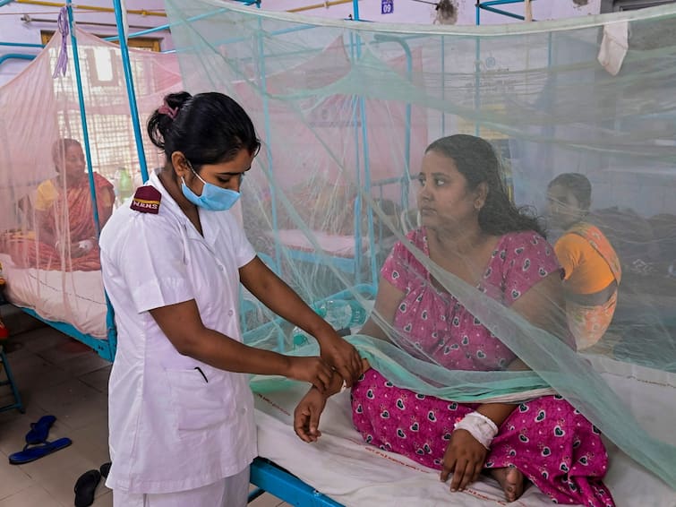 Bengal: Over 38,000 Dengue Infections Reported. Cases May Rise During Durga Puja, Warns Govt