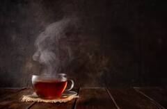 Health Tips: તંદુરસ્ત રહેવું હોય તો રોજ આ 7 કાળી ચીજનું કરો સેવન, બીપી-ડાયાબિટીસ પણ રહેશે કંટ્રોલમાં