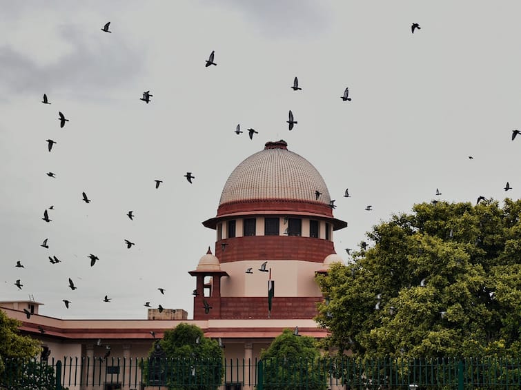 Supreme Court warns Delhi government regarding farishte dilli ke scheme 'कोर्ट को गुमराह किया तो...',  सड़क दुर्घटनाओं से जुड़ी योजना को लेकर दिल्ली सरकार पर नाराज सुप्रीम कोर्ट