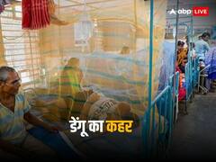 मच्छर बना विकराल काल: बंगाल से बांग्लादेश तक ले चुका है सैकड़ों जान, पढ़ें डेंगू पर विस्तृत रिपोर्ट