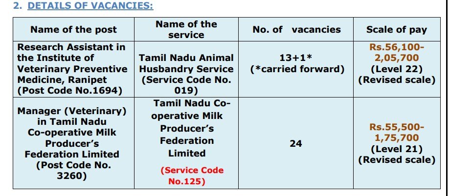 SDAT Recruitment: விளையாட்டு வீரர்களா? தமிழ்நாடு அரசு வேலை விண்ணப்பிக்கலாம்? - முழு விவரம்