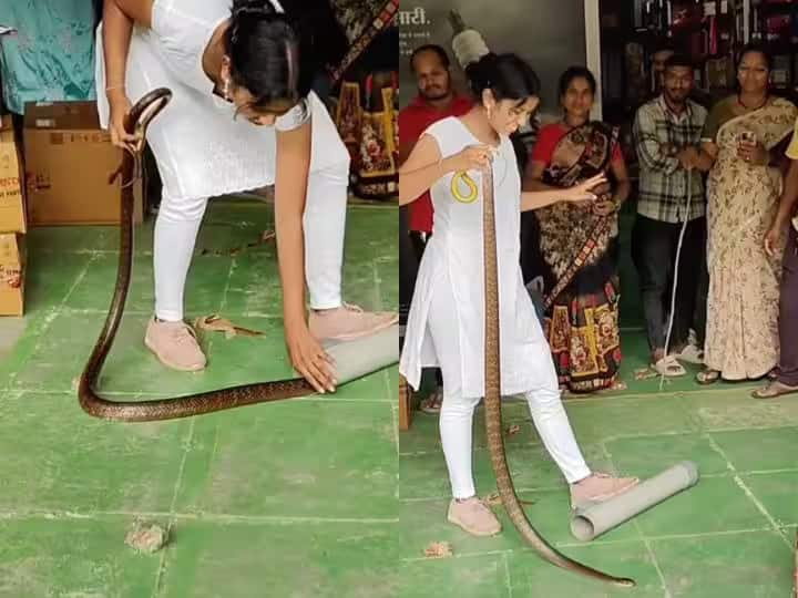 scary video of snake catchers goosebumps after watching this viral on social media Viral Video: ਸੱਪ ਫੜਨ ਵਾਲੇ ਇਸ ਡਰਾਉਣੀ ਵੀਡੀਓ ਨੂੰ ਦੇਖ ਕੇ ਉੱਡ ਜਾਣਗੇ ਹੋਸ਼, ਸੋਸ਼ਲ ਮੀਡੀਆ 'ਤੇ ਹੋਇਆ ਵਾਇਰਲ