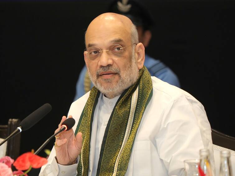 Amit Shah Northern Zonal Council Meeting Punjab Amaritsar Himachal Pradesh Punjab Haryana Anti-Drone System Amit Shah Assures Anti-Drone System Along Borders, Centre's Aid To HP In Northern Zonal Council Meeting