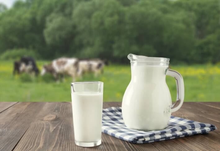 dairy business without cow or buffalo know in detail agriculture news ...