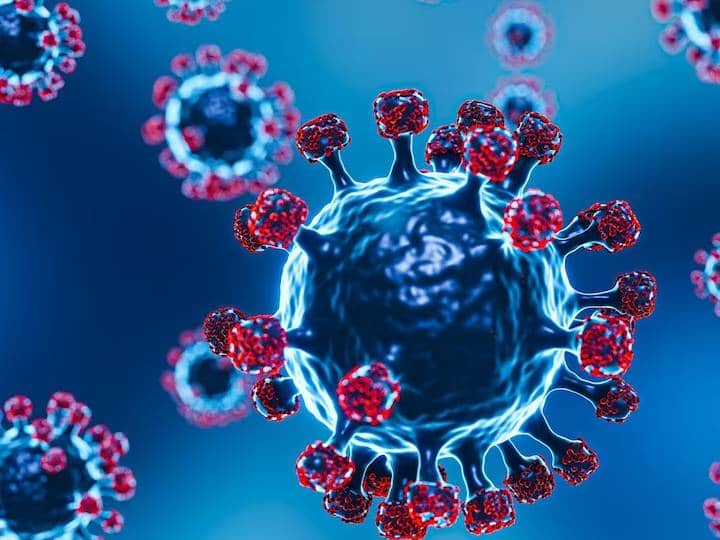 'वर्ल्ड हेल्थ ऑर्गेनाइजेशन' ने पूरी दुनिया को सचेत किया है कि एक नई महामारी जोकि कोविड से 7 गुना ज्यादा खतरनाक है वह दस्तक दे सकती है. इससे 5 करोड़ लोगों की मौत की आशंका जताई जा रही है. एक्सपर्ट ने इसकी तुलना 1918-1920 के खतरनाक स्पैनिश फ्लू से की है. यह कोई मामूली खबर नहीं थी बल्कि एक ऐसा डर जिसे पूरी दुनिया 2-3 साल पहले झेल चुका है.